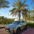 Lexus NX 350 2022 1