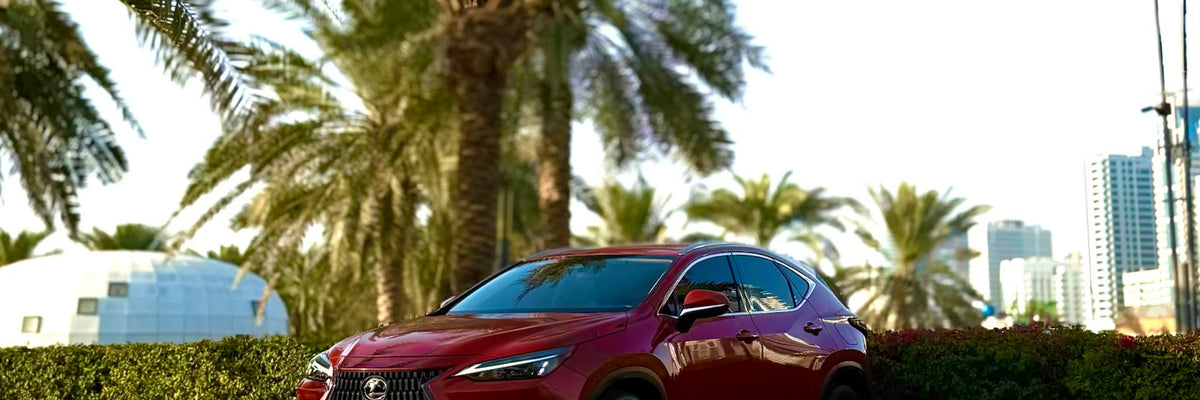 Lexus NX Series
