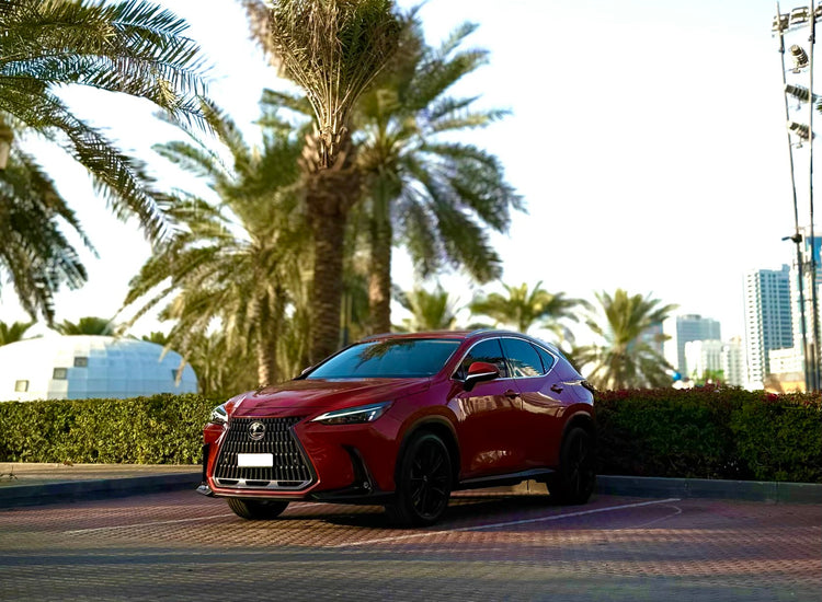 Lexus NX Series