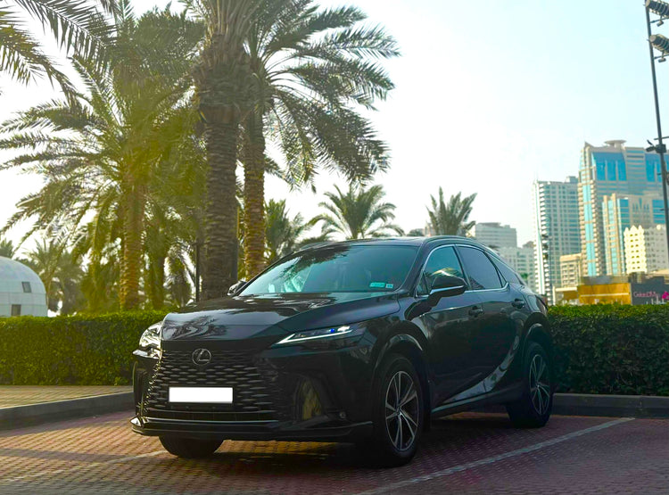 Lexus RX Series