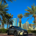 Lexus NX 350 2022 4