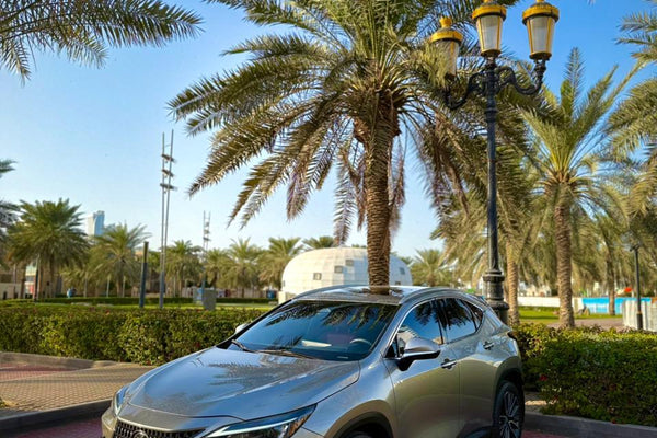 Lexus NX 350 2022