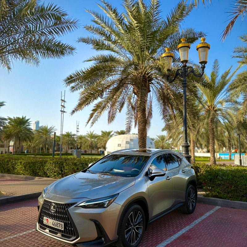 Lexus NX 350 2022