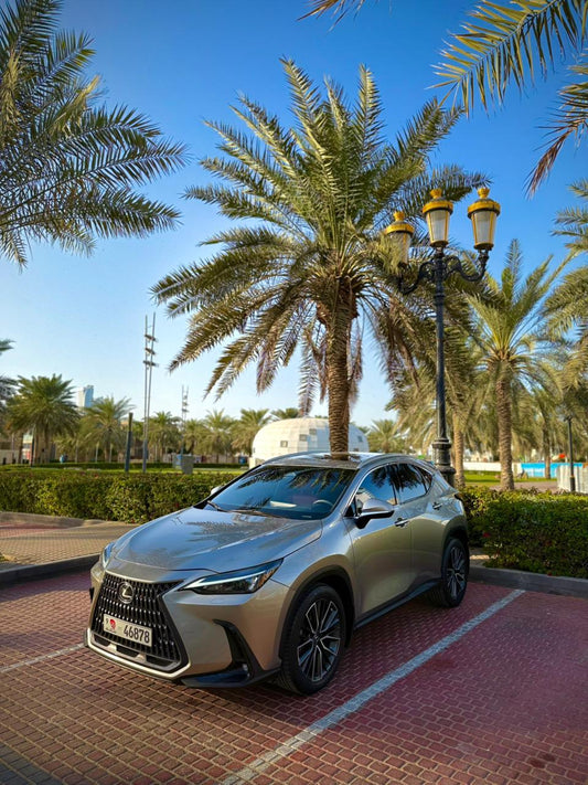 Lexus NX 350 2022