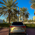 Lexus NX 350 2022 7